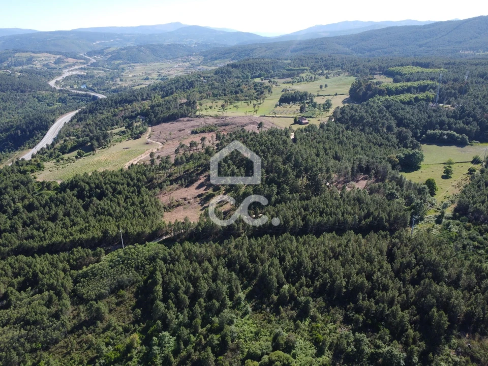 Terreno para Venda em Redondelo Foto 15