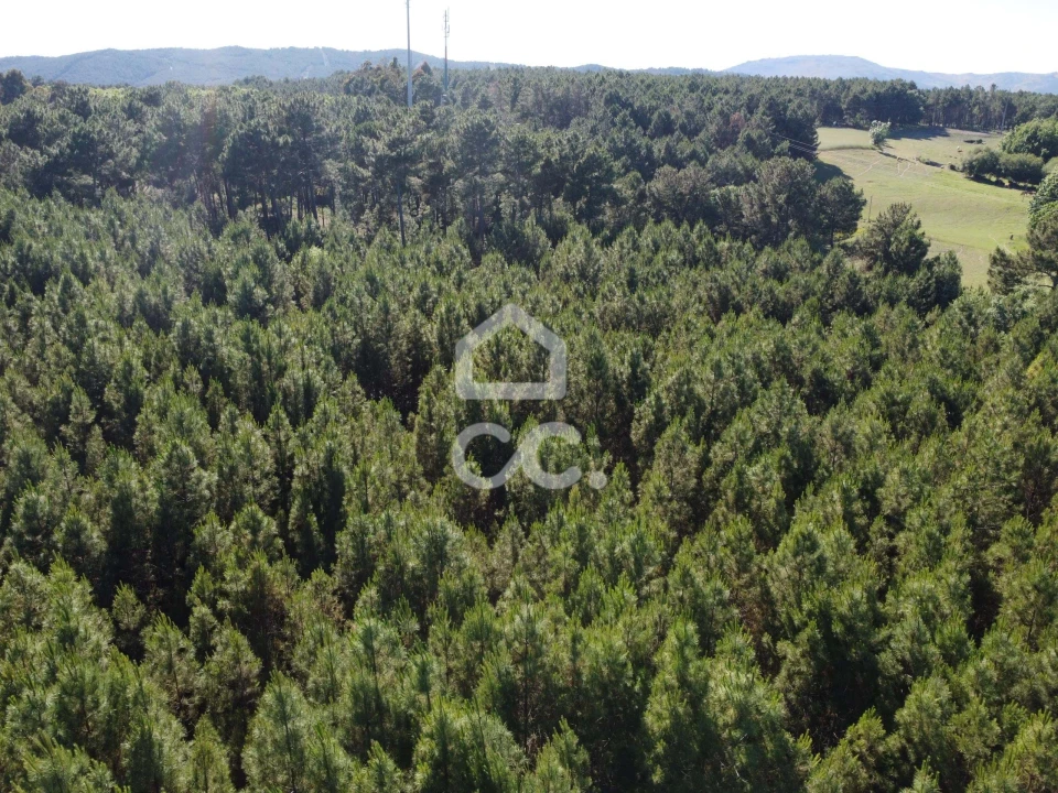 Terreno para Venda em Redondelo Foto 2