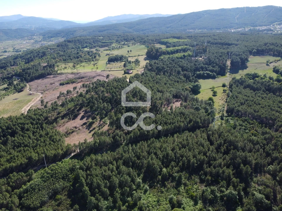 Terreno para Venda em Redondelo Foto 14