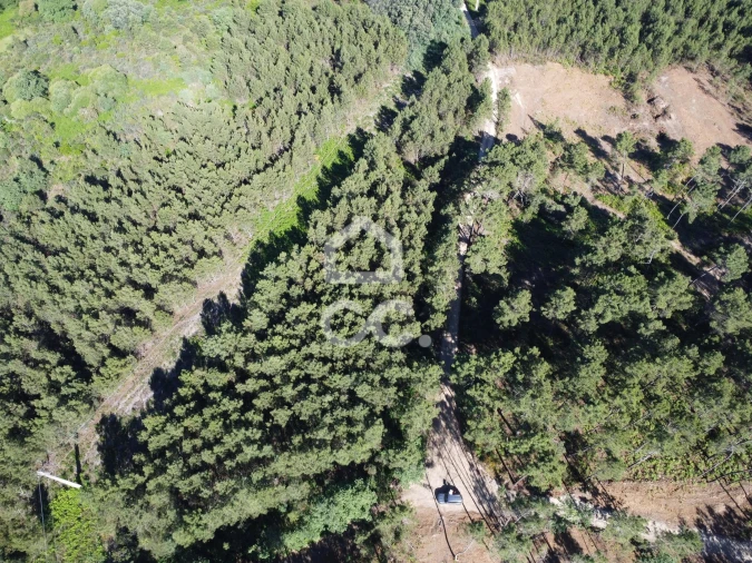 Terreno para Venda em Redondelo Foto 4