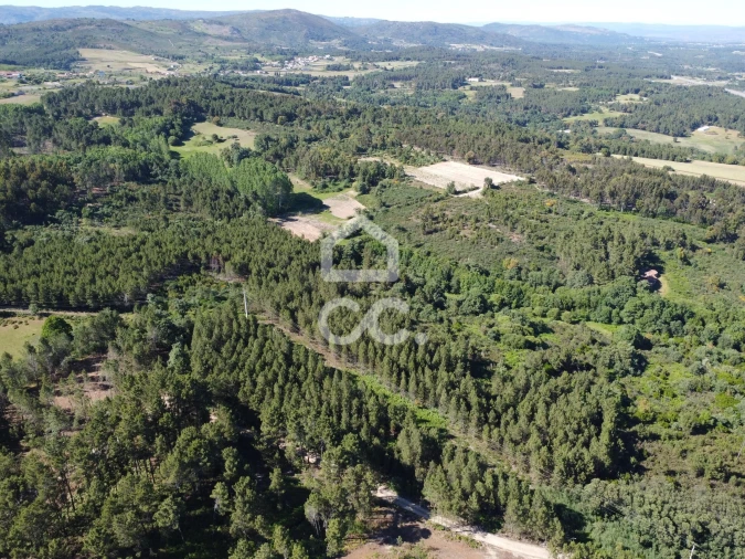 Terreno para Venda em Redondelo Foto 8