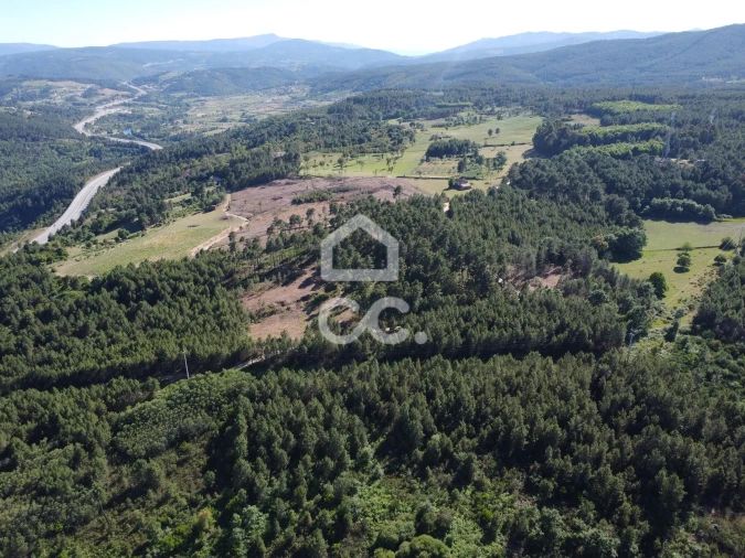 Terreno para Venda em Redondelo Foto 15