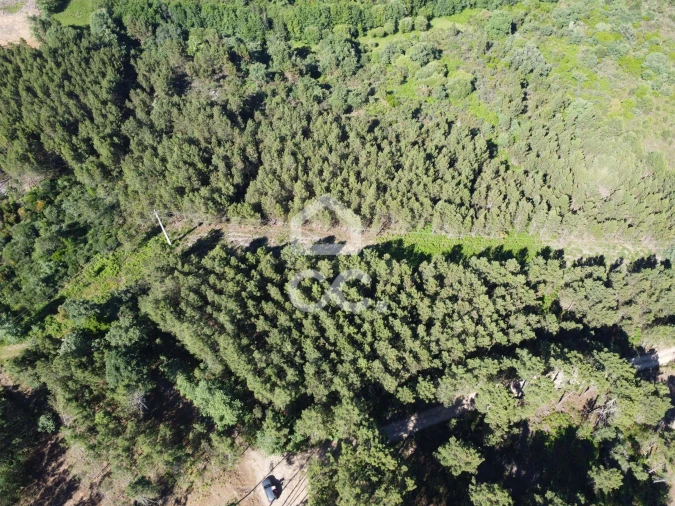 Terreno para Venda em Redondelo Foto 3