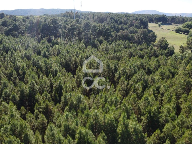 Terreno para Venda em Redondelo Foto 2