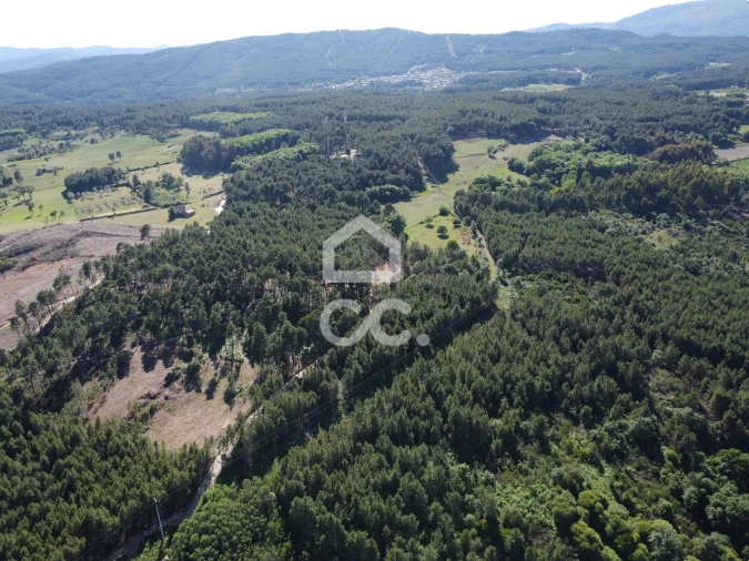 Terreno para Venda em Redondelo Foto 12