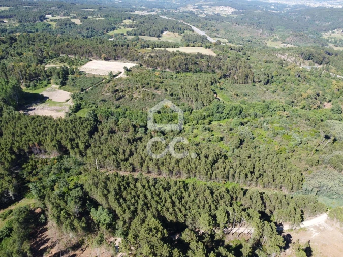 Terreno para Venda em Redondelo Foto 6