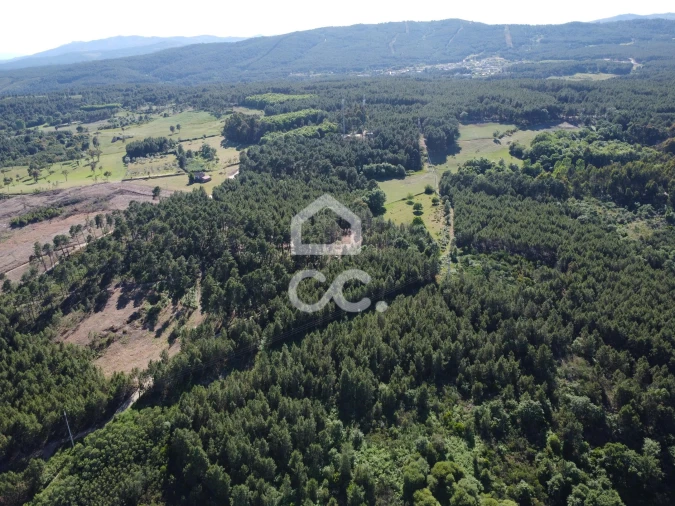 Terreno para Venda em Redondelo Foto 13