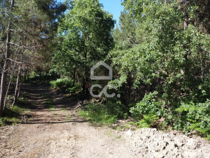 Terreno para Venda em Redondelo Foto 18
