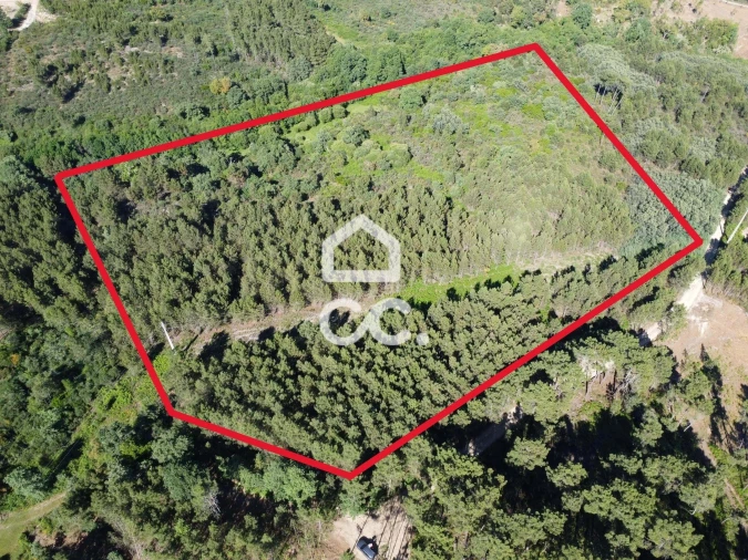 Terreno para Venda em Redondelo