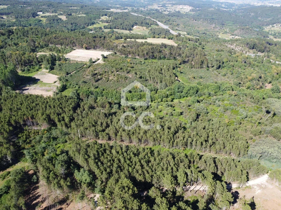 Terreno para Venda em Redondelo Foto 6