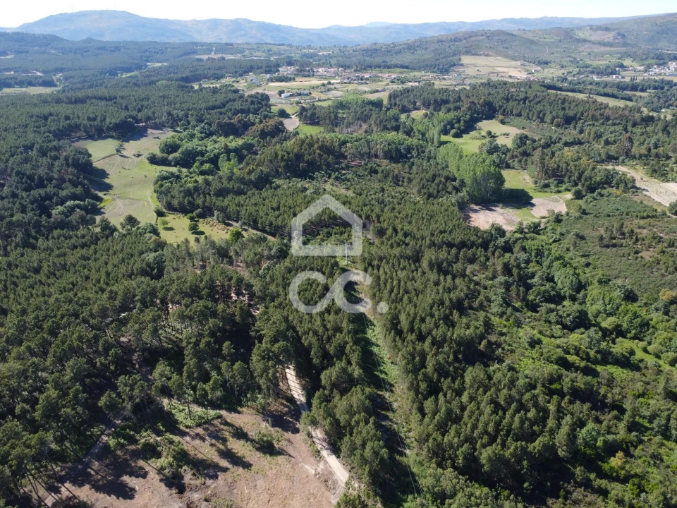 Terreno para Venda em Redondelo Foto 9