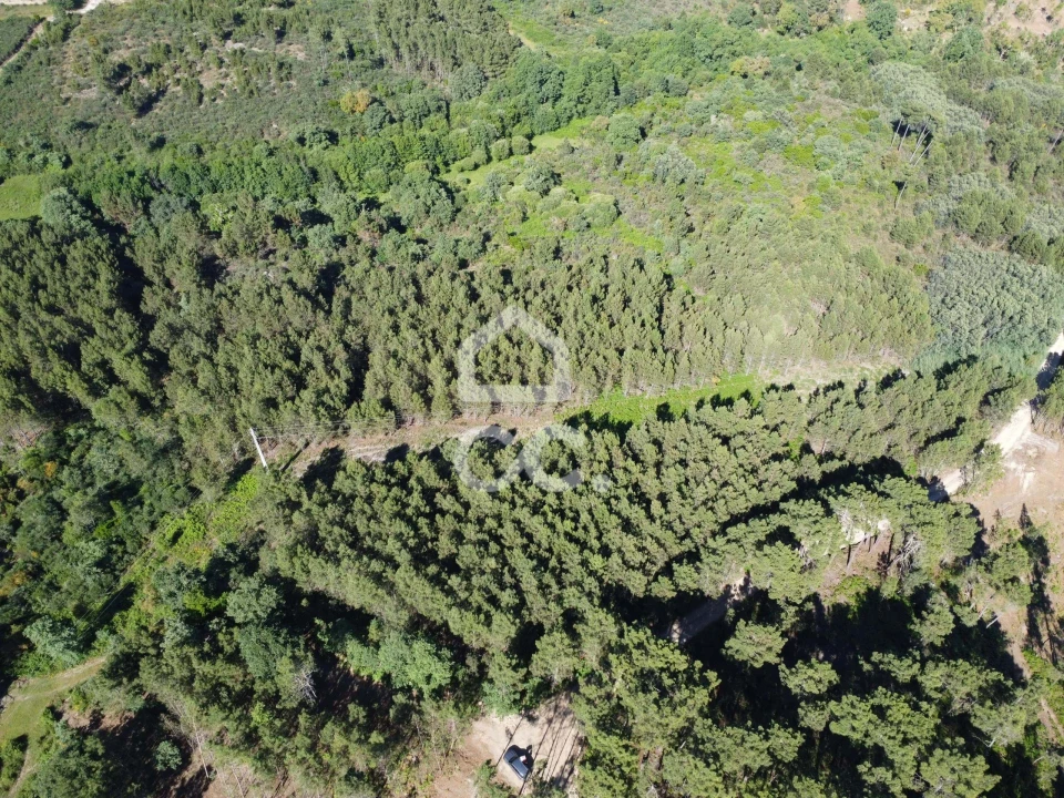 Terreno para Venda em Redondelo Foto 5