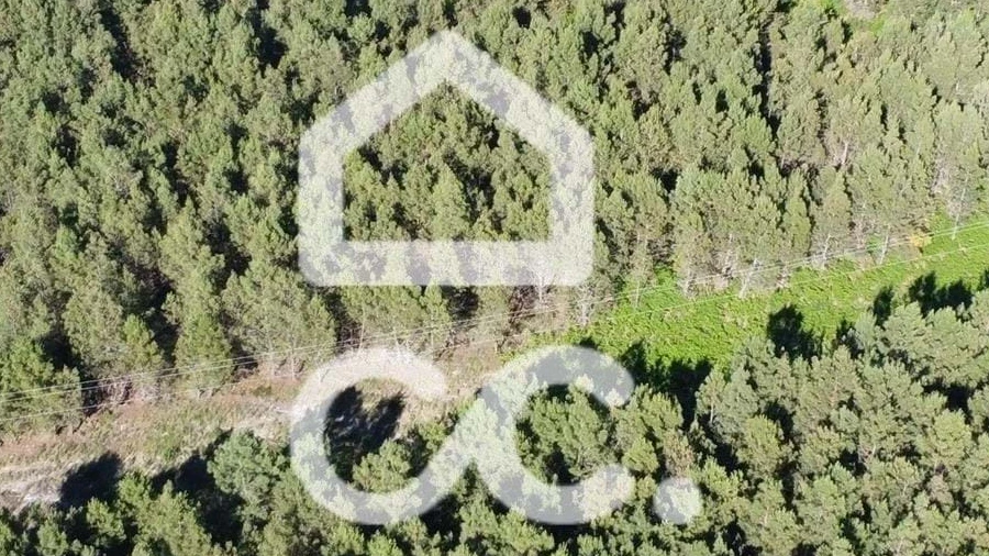 Terreno para Venda em Redondelo