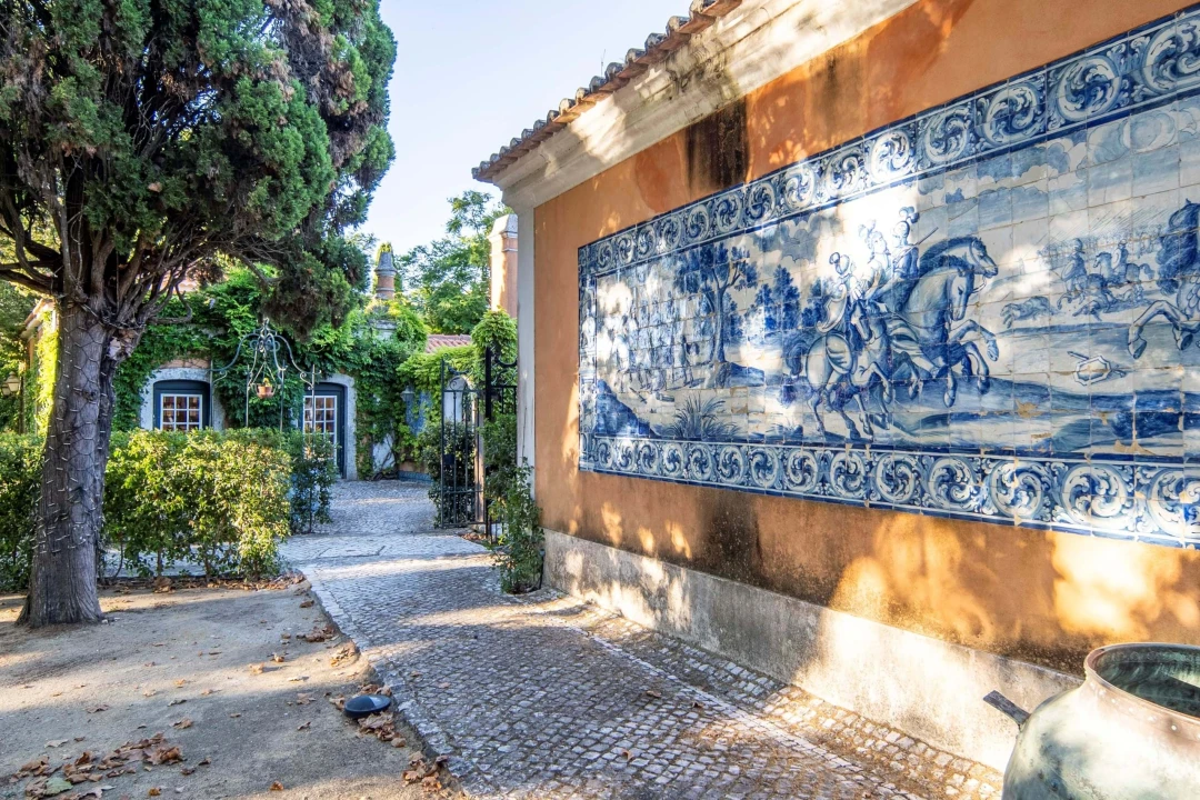 Quinta T7 para Venda em Lumiar Foto 4