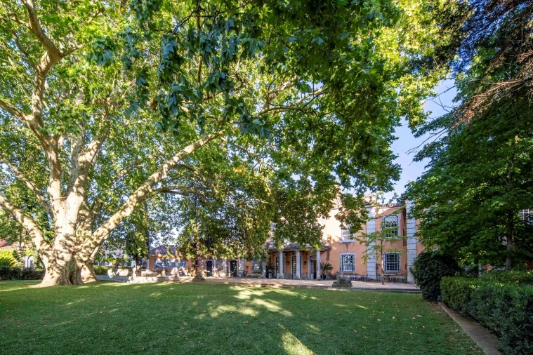 Quinta T7 para Venda em Lumiar Foto 8