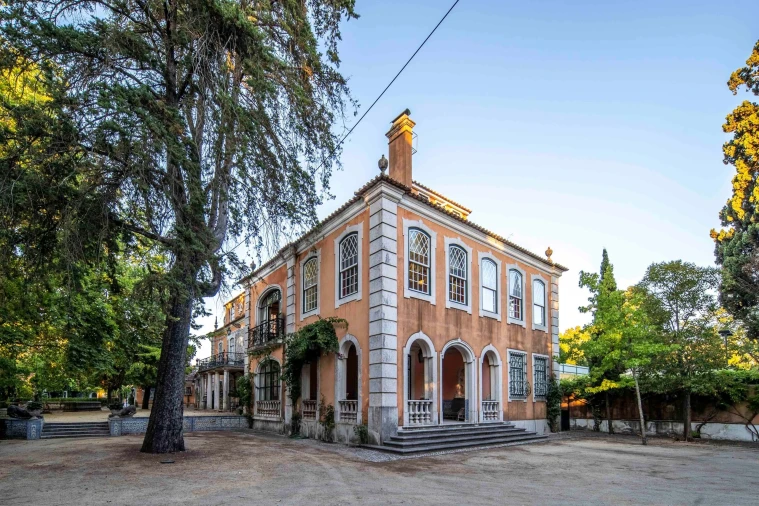 Quinta T7 para Venda em Lumiar Foto 97