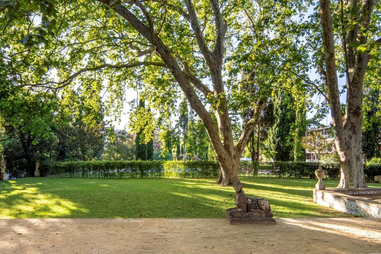 Quinta T7 para Venda em Lumiar Foto 6