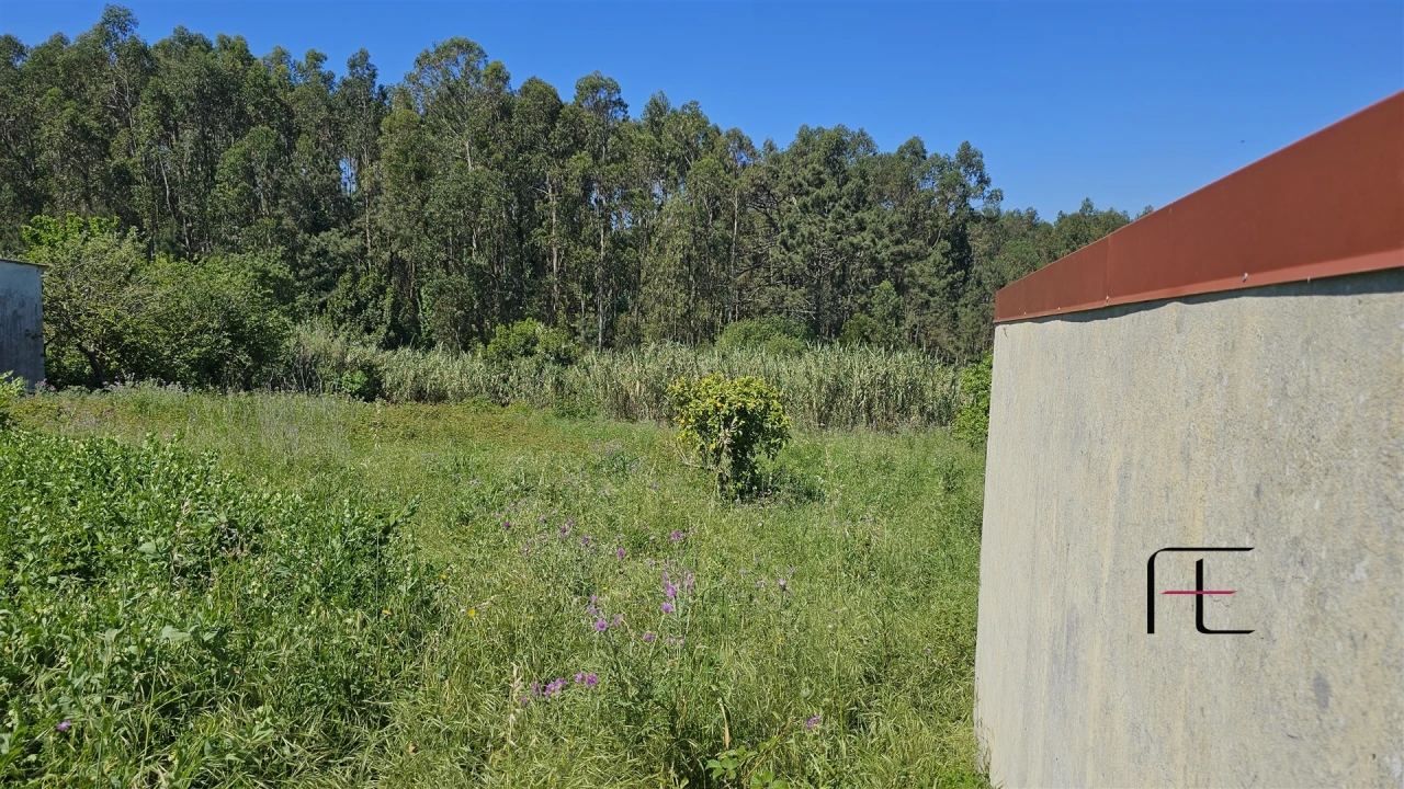 Moradia T1 para Venda em Lavos Foto 21