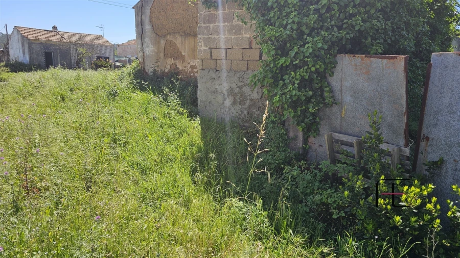 Moradia T1 para Venda em Lavos Foto 5