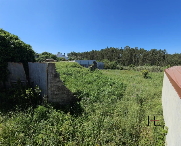 Moradia T1 para Venda em Lavos Foto 13