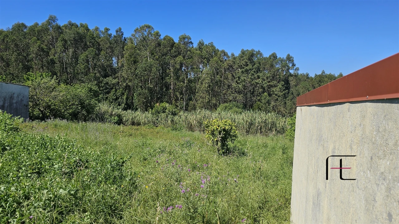 Moradia T1 para Venda em Lavos Foto 3