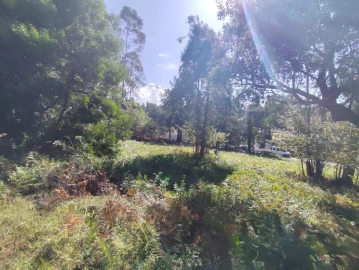 Terreno para Venda em Gulpilhares e Valadares