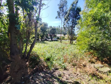 Terreno para Venda em Gulpilhares e Valadares