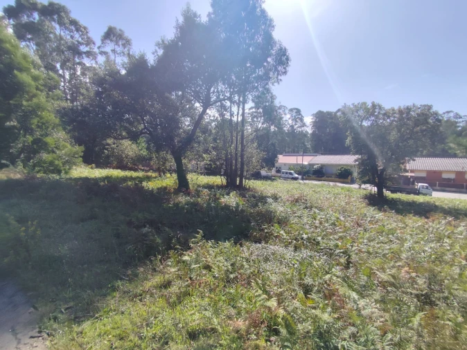 Terreno para Venda em Gulpilhares e Valadares Foto 7