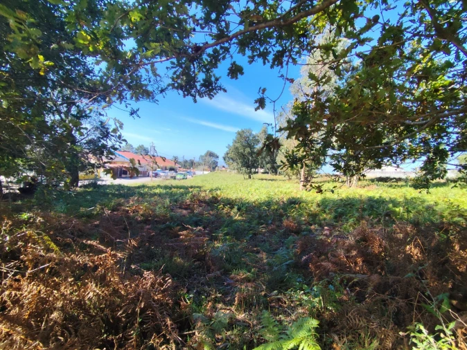 Terreno para Venda em Gulpilhares e Valadares Foto 4