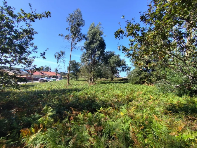 Terreno para Venda em Gulpilhares e Valadares Foto 5