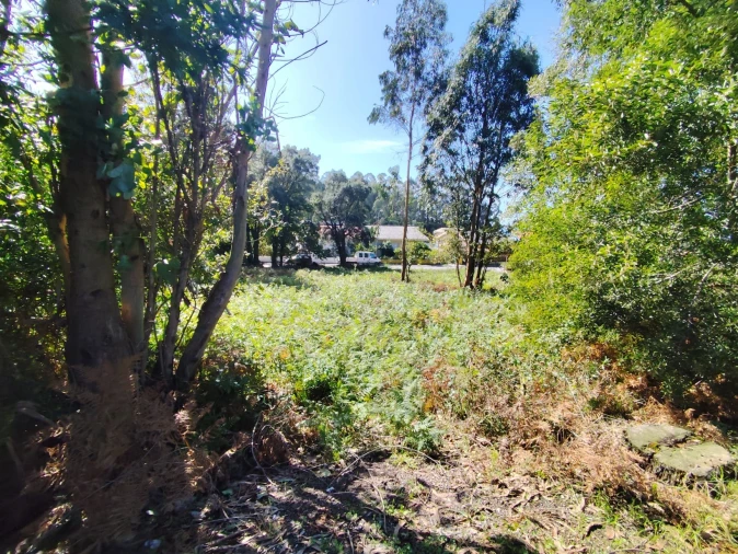 Terreno para Venda em Gulpilhares e Valadares Foto 9