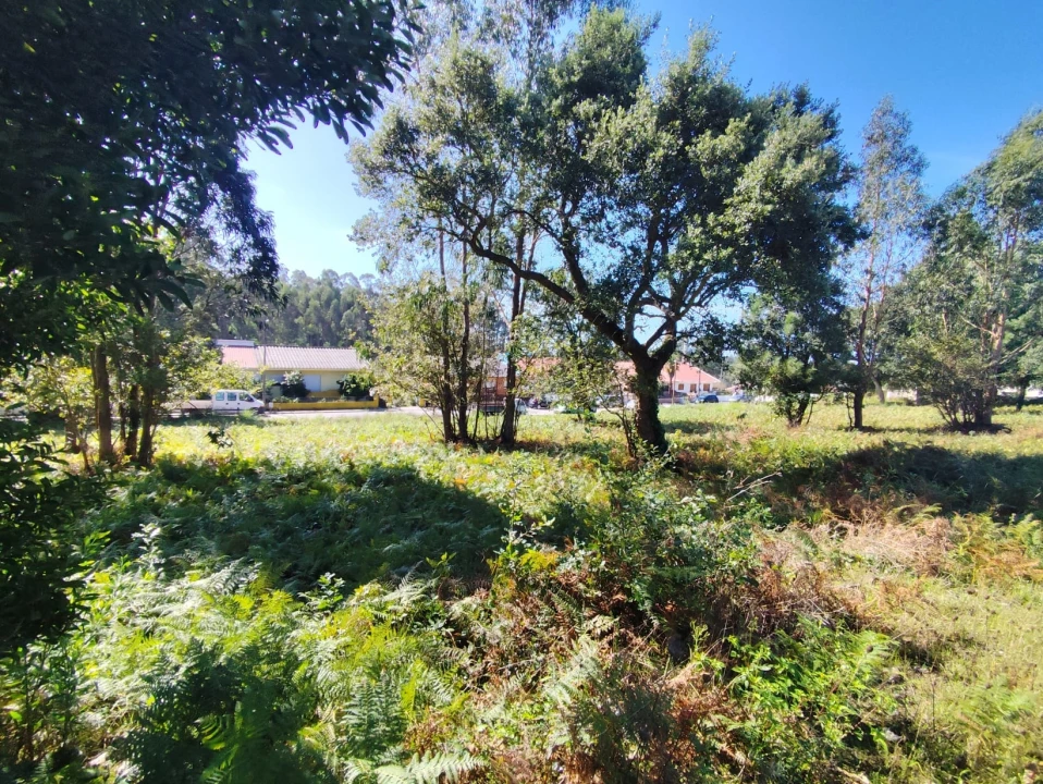 Terreno para Venda em Gulpilhares e Valadares Foto 8
