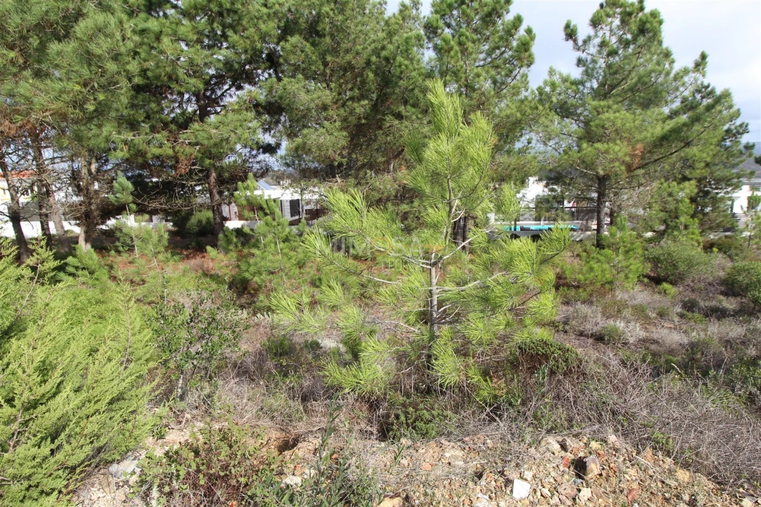 Terreno para Venda em Aljezur Foto 7