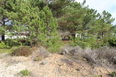 Terreno para Venda em Aljezur