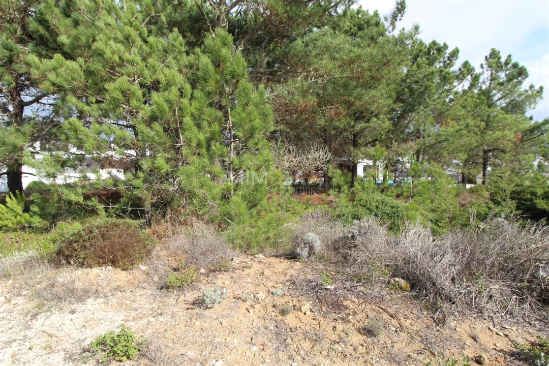 Terreno para Venda em Aljezur Foto 8