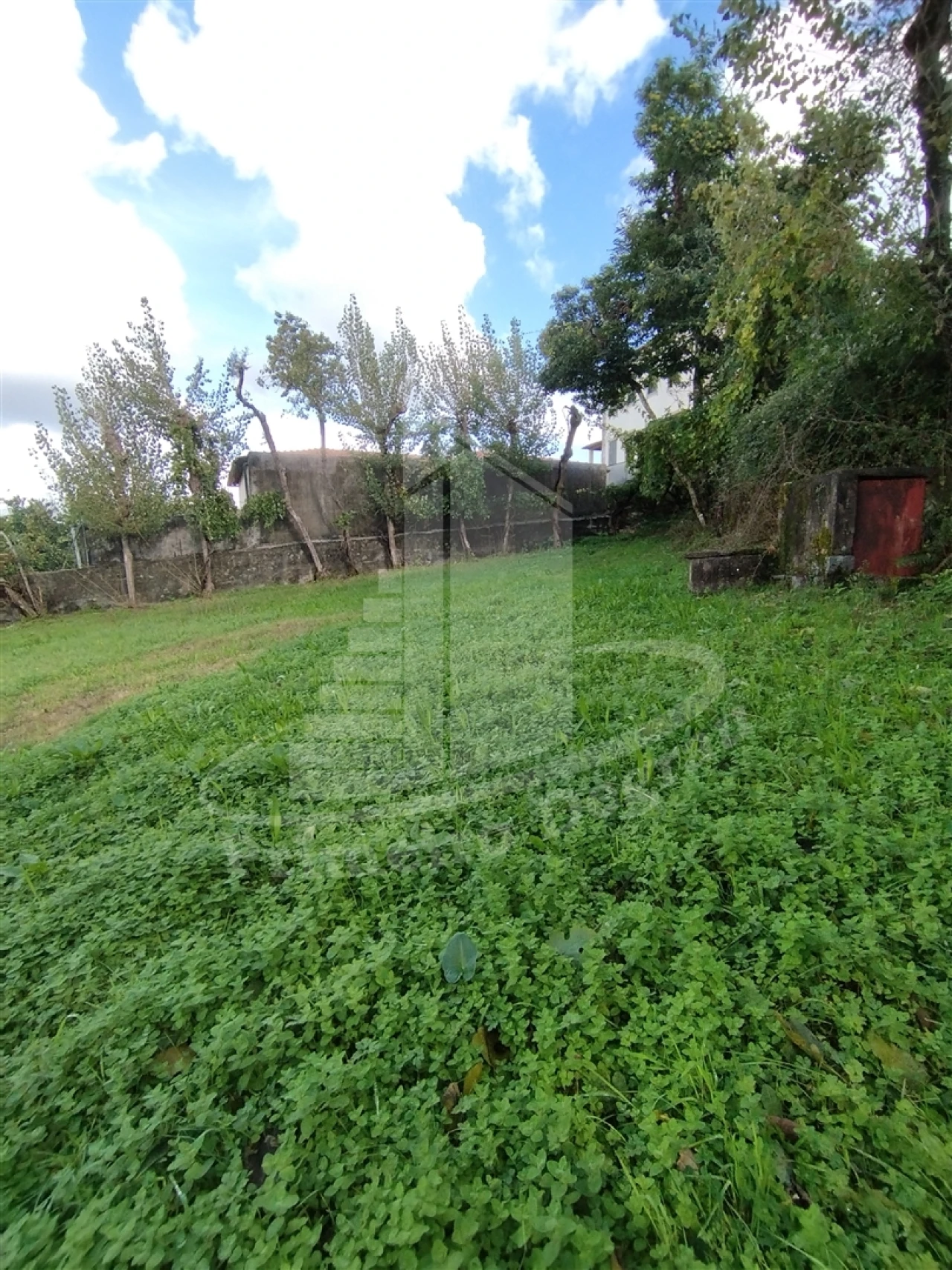 Quinta T0 para Venda em Este (São Pedro e São Mamede) Foto 10