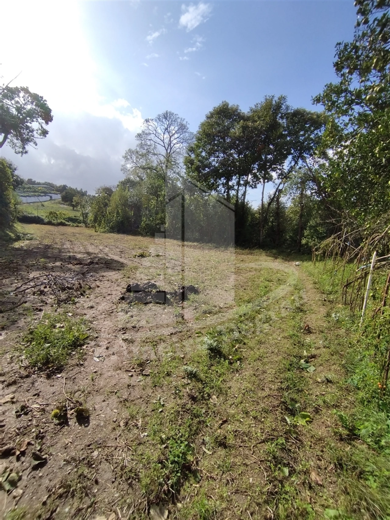 Quinta T0 para Venda em Este (São Pedro e São Mamede) Foto 18