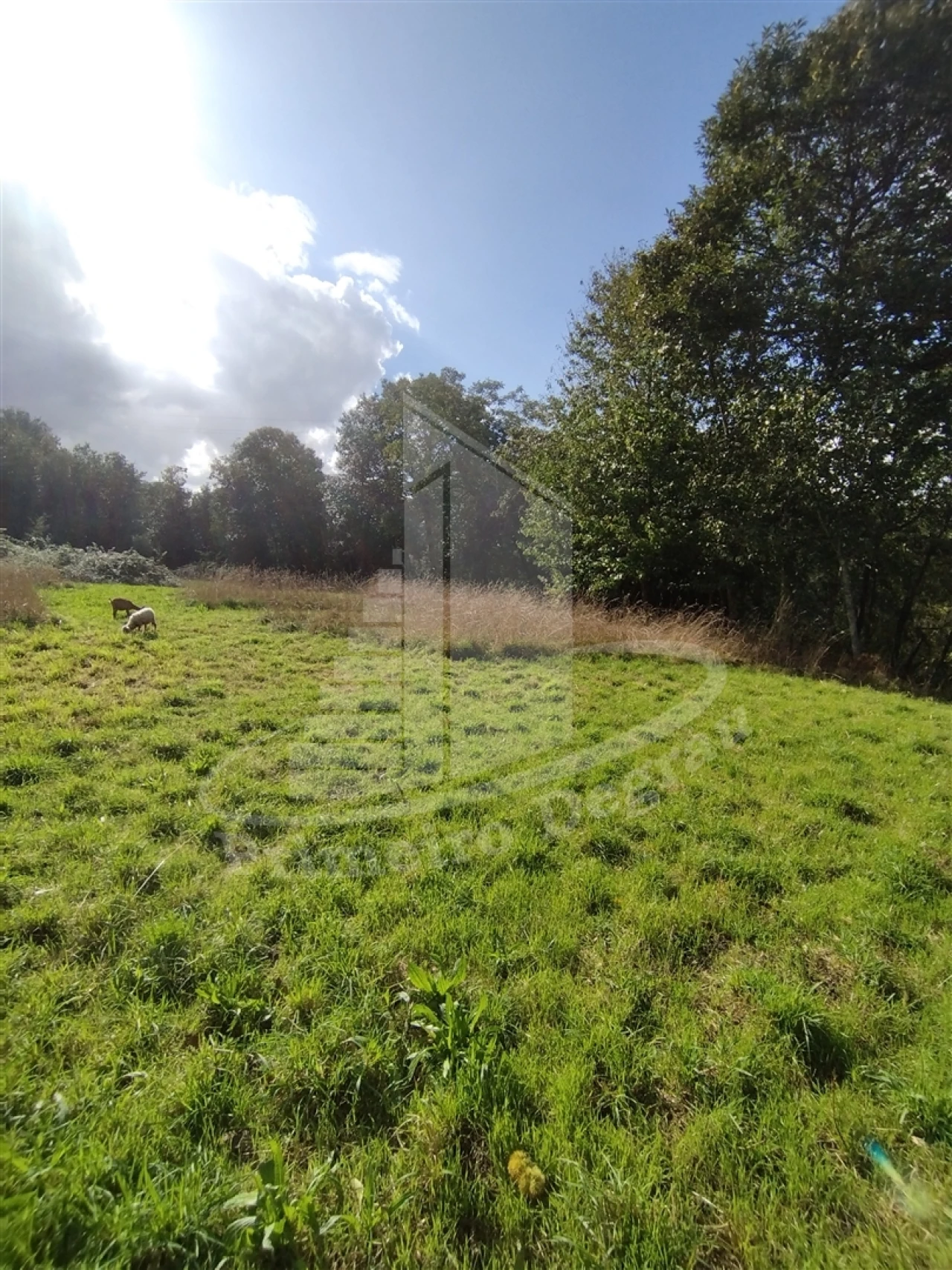 Quinta T0 para Venda em Este (São Pedro e São Mamede) Foto 2