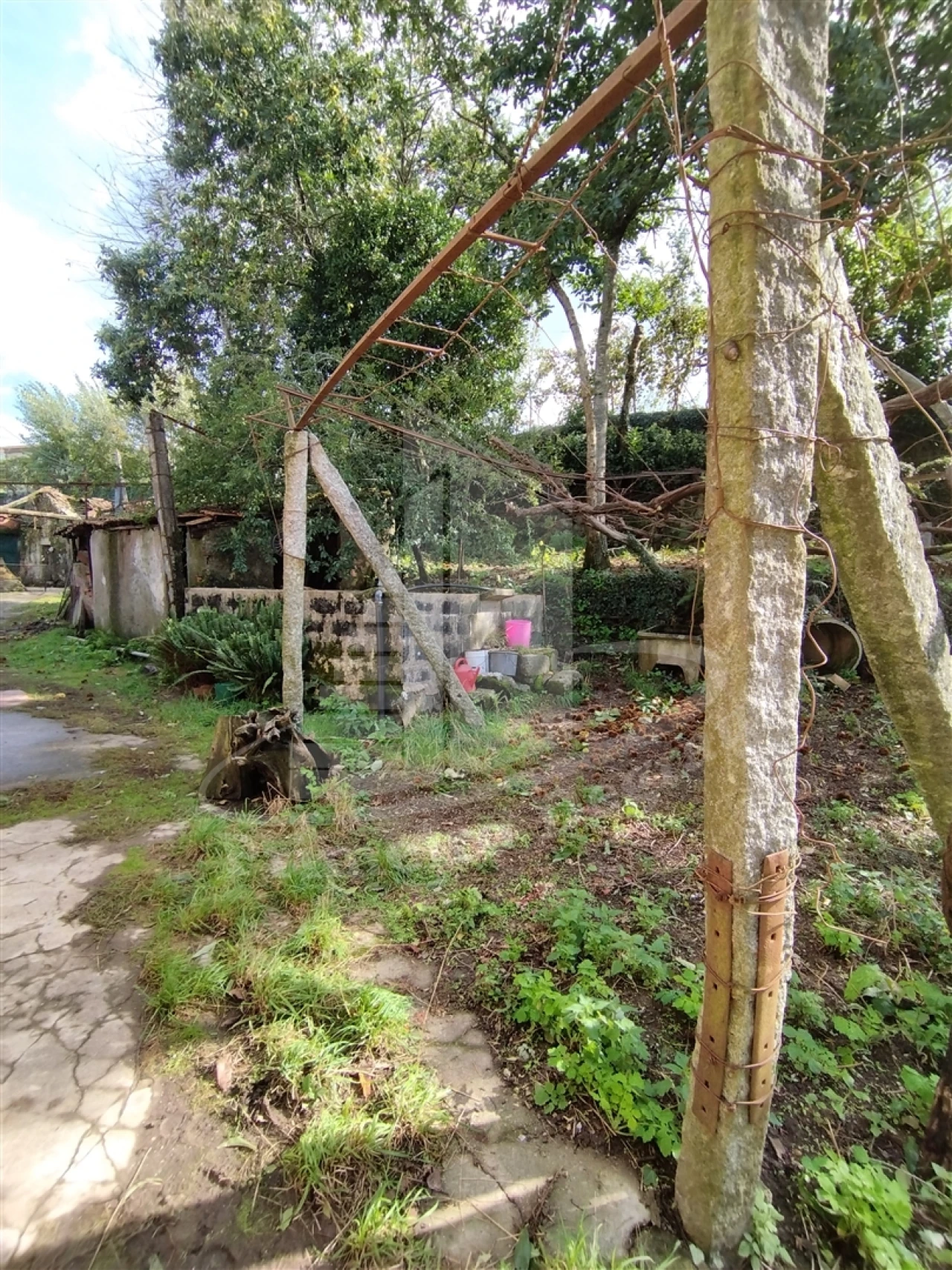 Quinta T0 para Venda em Este (São Pedro e São Mamede) Foto 19