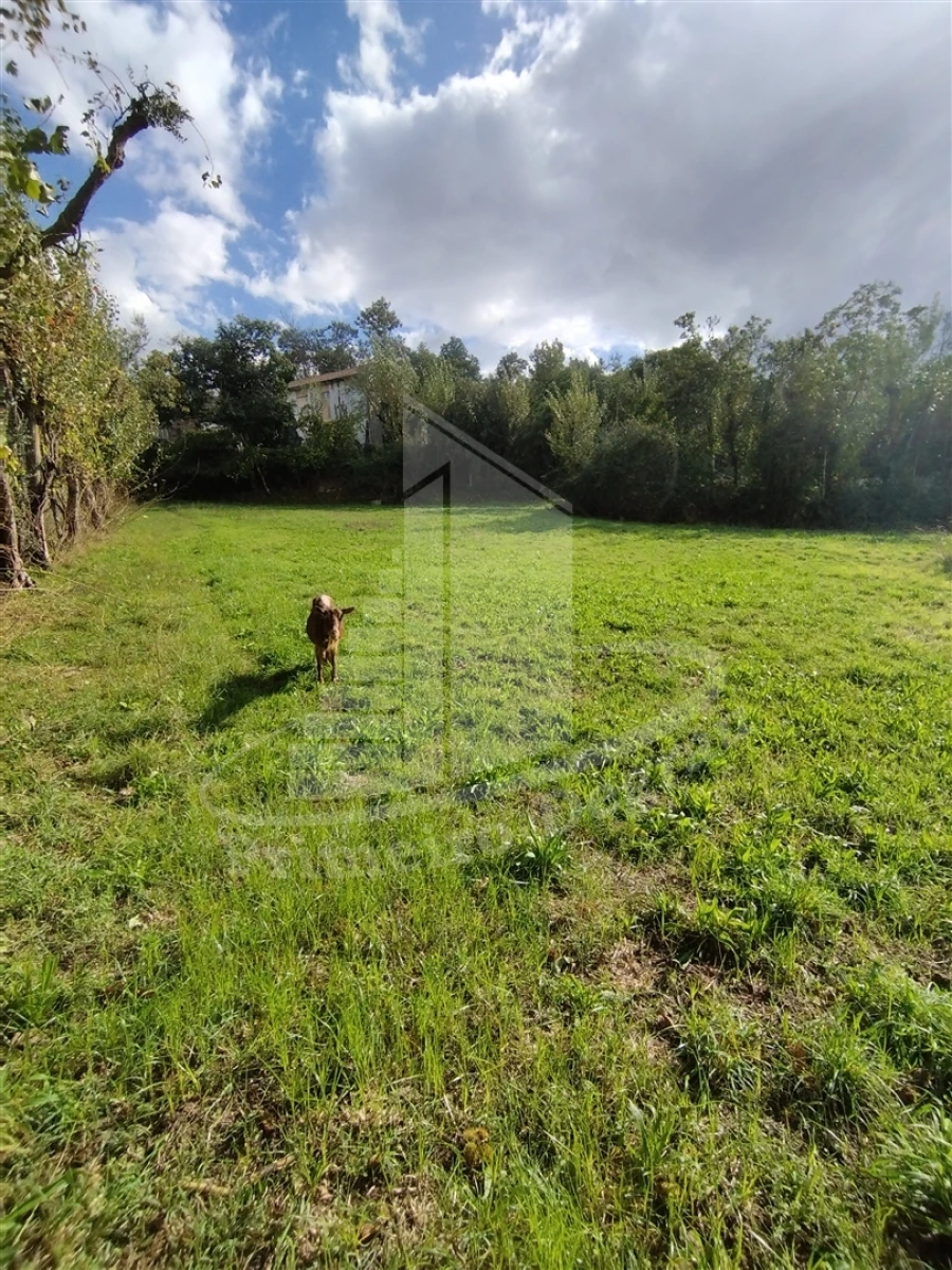 Quinta T0 para Venda em Este (São Pedro e São Mamede) Foto 5