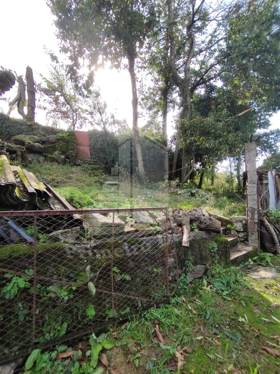 Quinta T0 para Venda em Este (São Pedro e São Mamede) Foto 22
