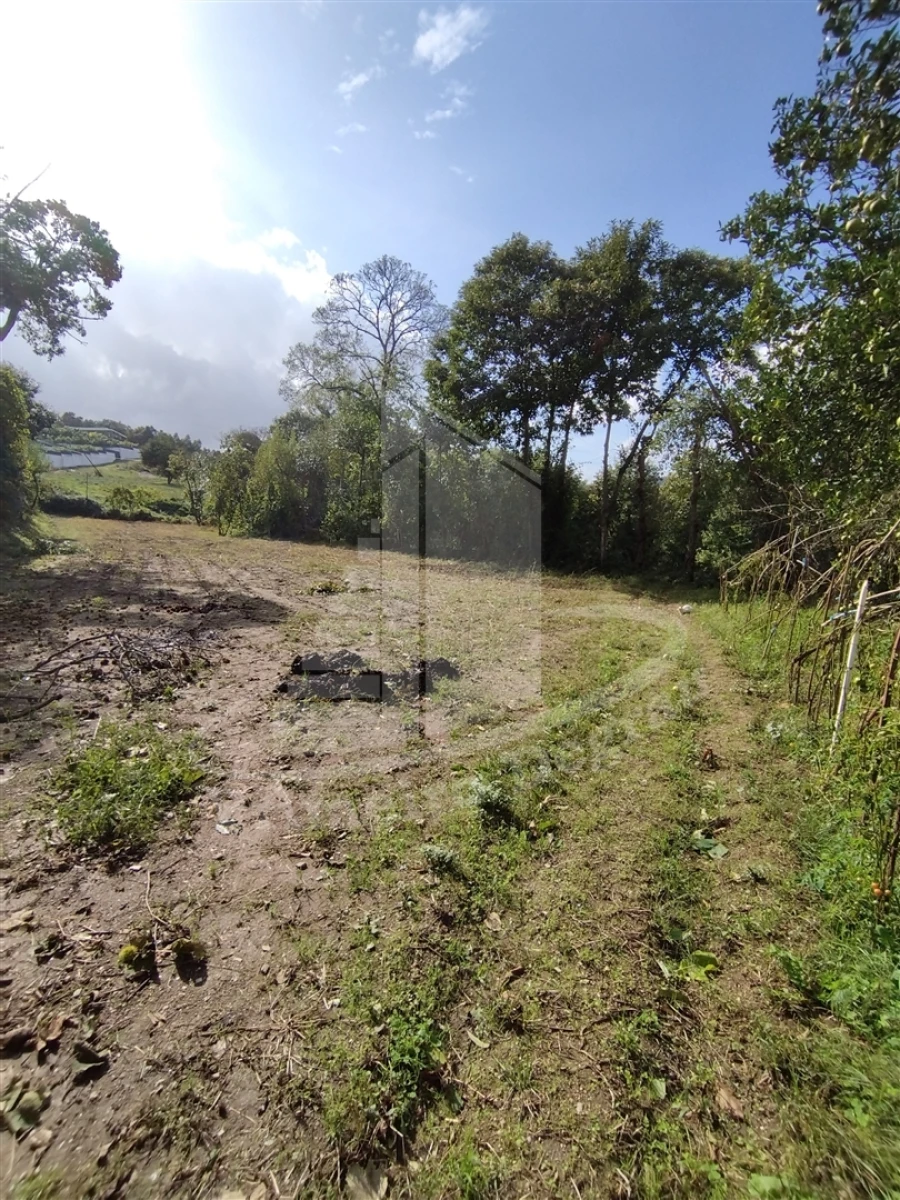 Quinta T0 para Venda em Este (São Pedro e São Mamede) Foto 18