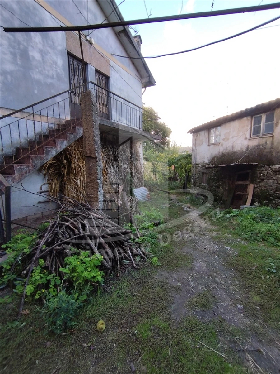 Quinta T0 para Venda em Este (São Pedro e São Mamede) Foto 32