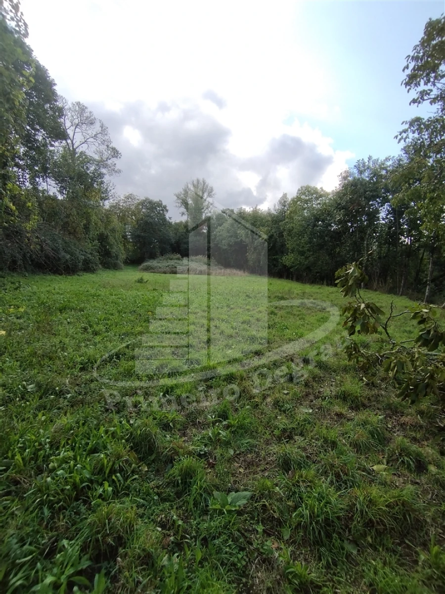 Quinta T0 para Venda em Este (São Pedro e São Mamede) Foto 12