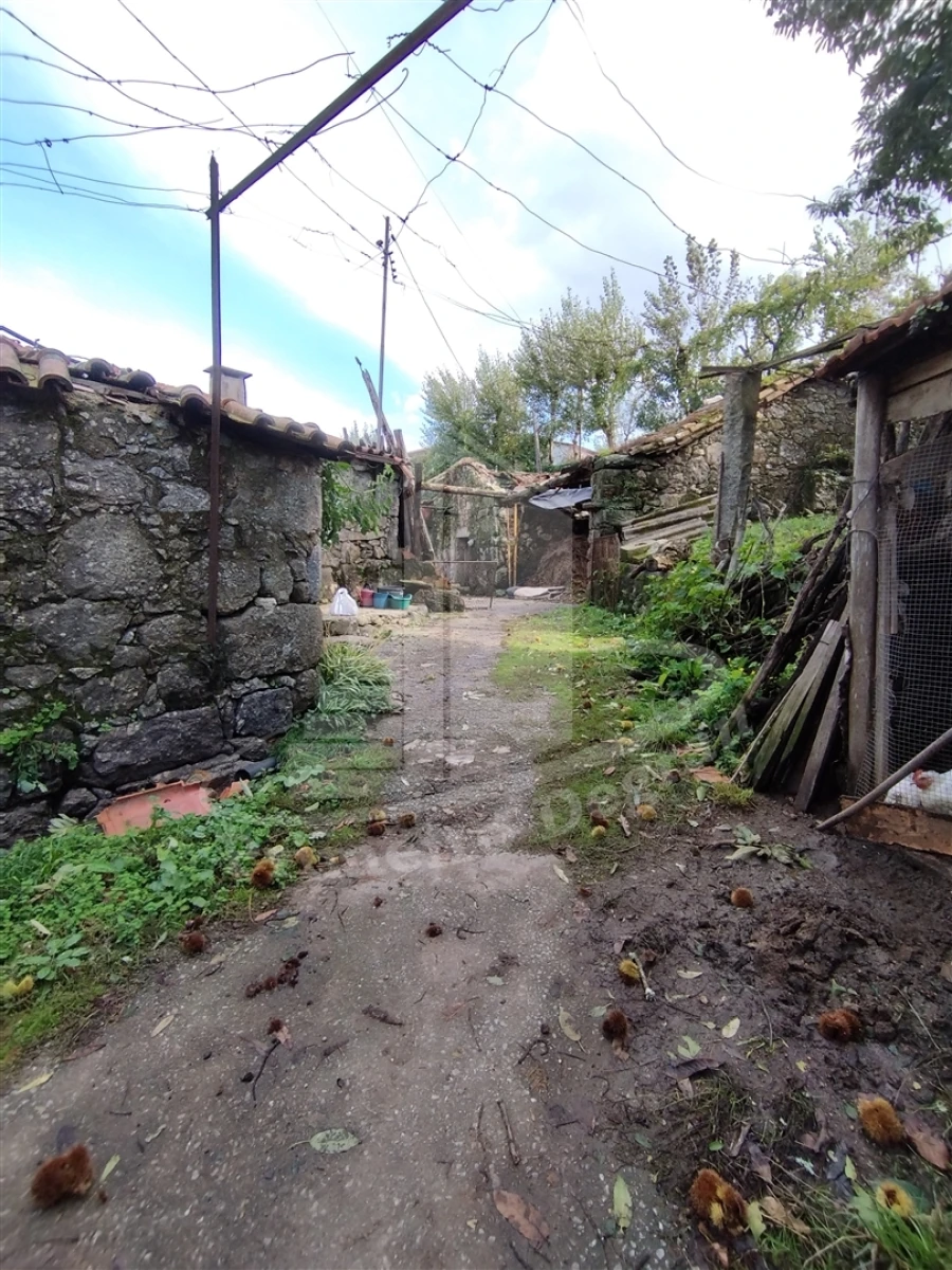 Quinta T0 para Venda em Este (São Pedro e São Mamede) Foto 25