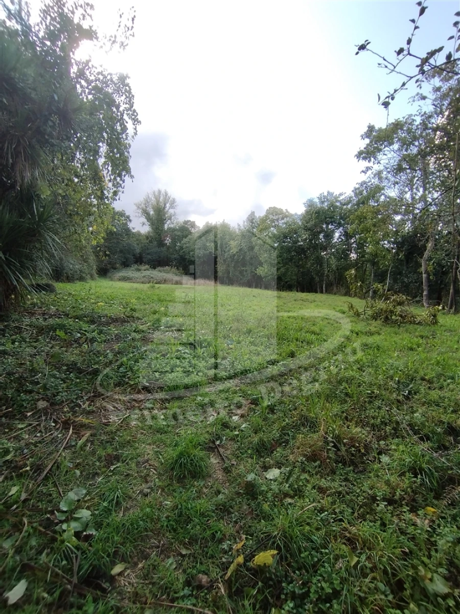 Quinta T0 para Venda em Este (São Pedro e São Mamede) Foto 11