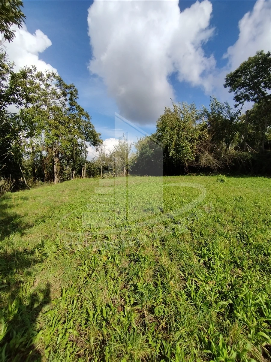 Quinta T0 para Venda em Este (São Pedro e São Mamede) Foto 13