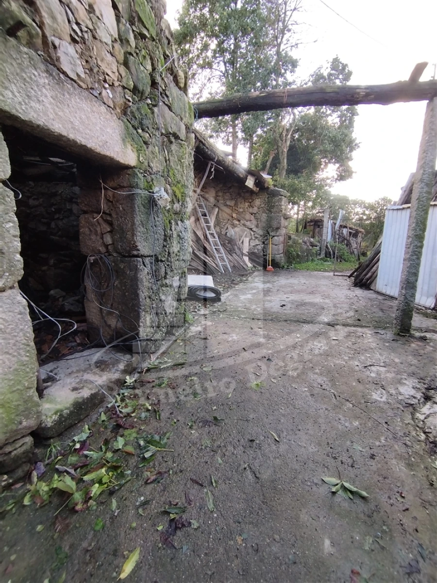 Quinta T0 para Venda em Este (São Pedro e São Mamede) Foto 31