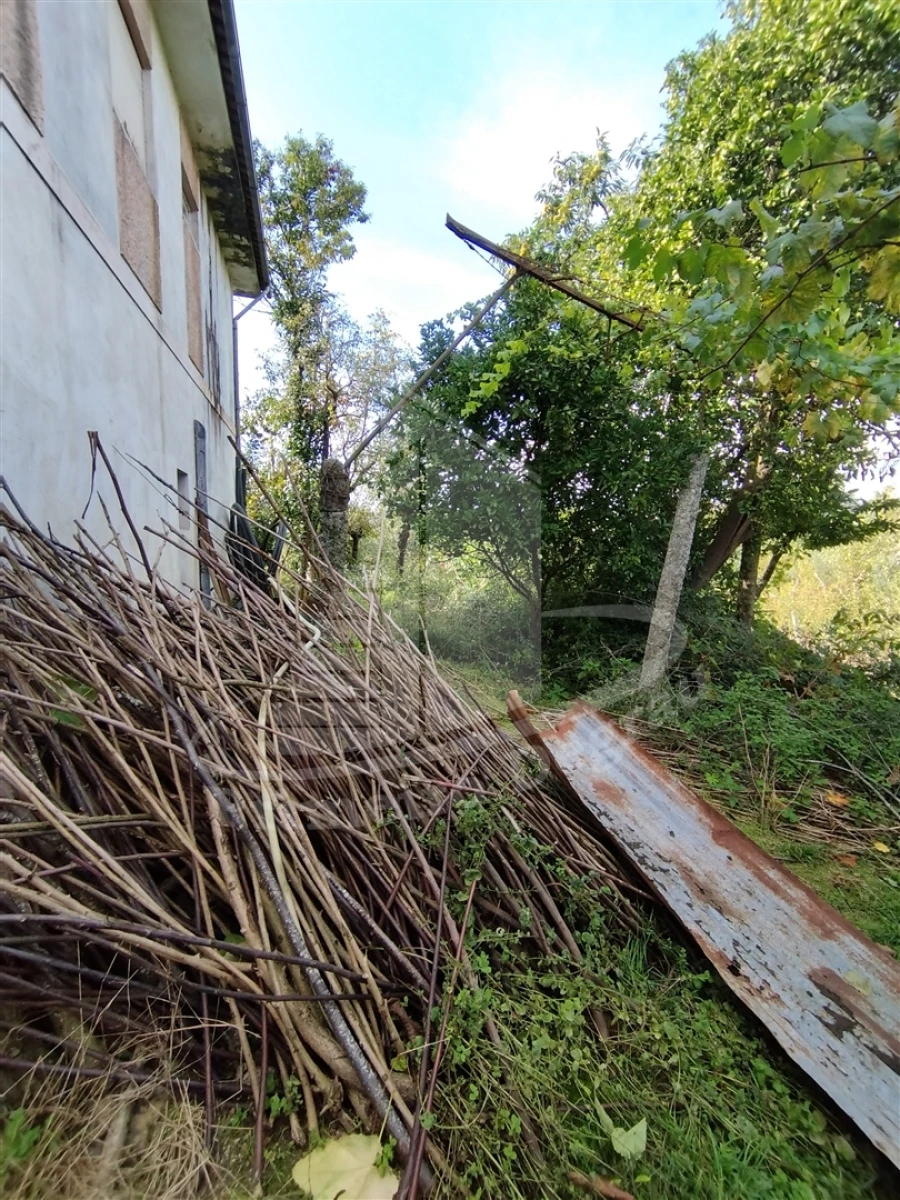 Quinta T0 para Venda em Este (São Pedro e São Mamede) Foto 20