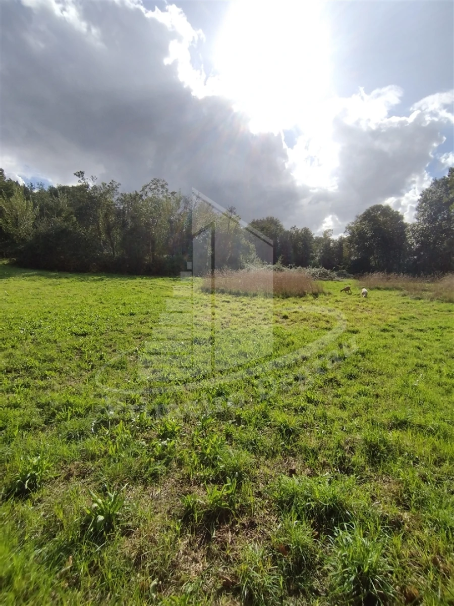 Quinta T0 para Venda em Este (São Pedro e São Mamede) Foto 4